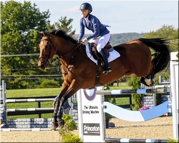 horse and ridier jumpiing a fence