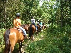 horseback riders on a shady trail