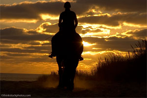 florida panhandle trail riding
