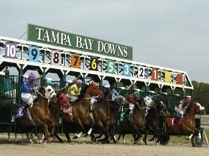 tampa bay downs sign