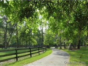 picture of horse farm