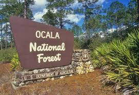 ocala national forest sign