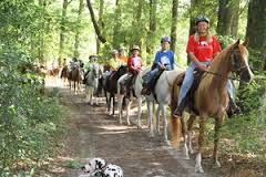 picture of people horseback trail riding