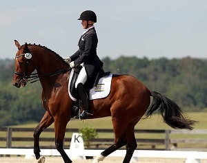dressage horse and rider